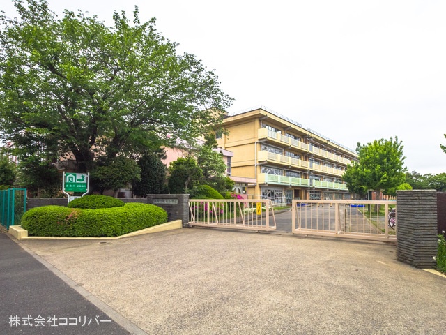 ӊ st䏬wZ1300m