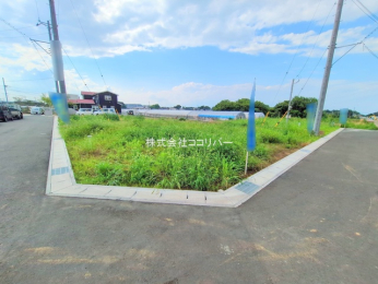 nynʐ^ -