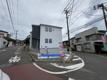 Ds匊k8ڂ̐Vzˌ